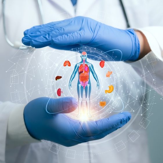 Medical worker holding hologram of a human body with human organs in concept of health. Medical future technology and innovative concept.Elevate healthcare with AI technology services.